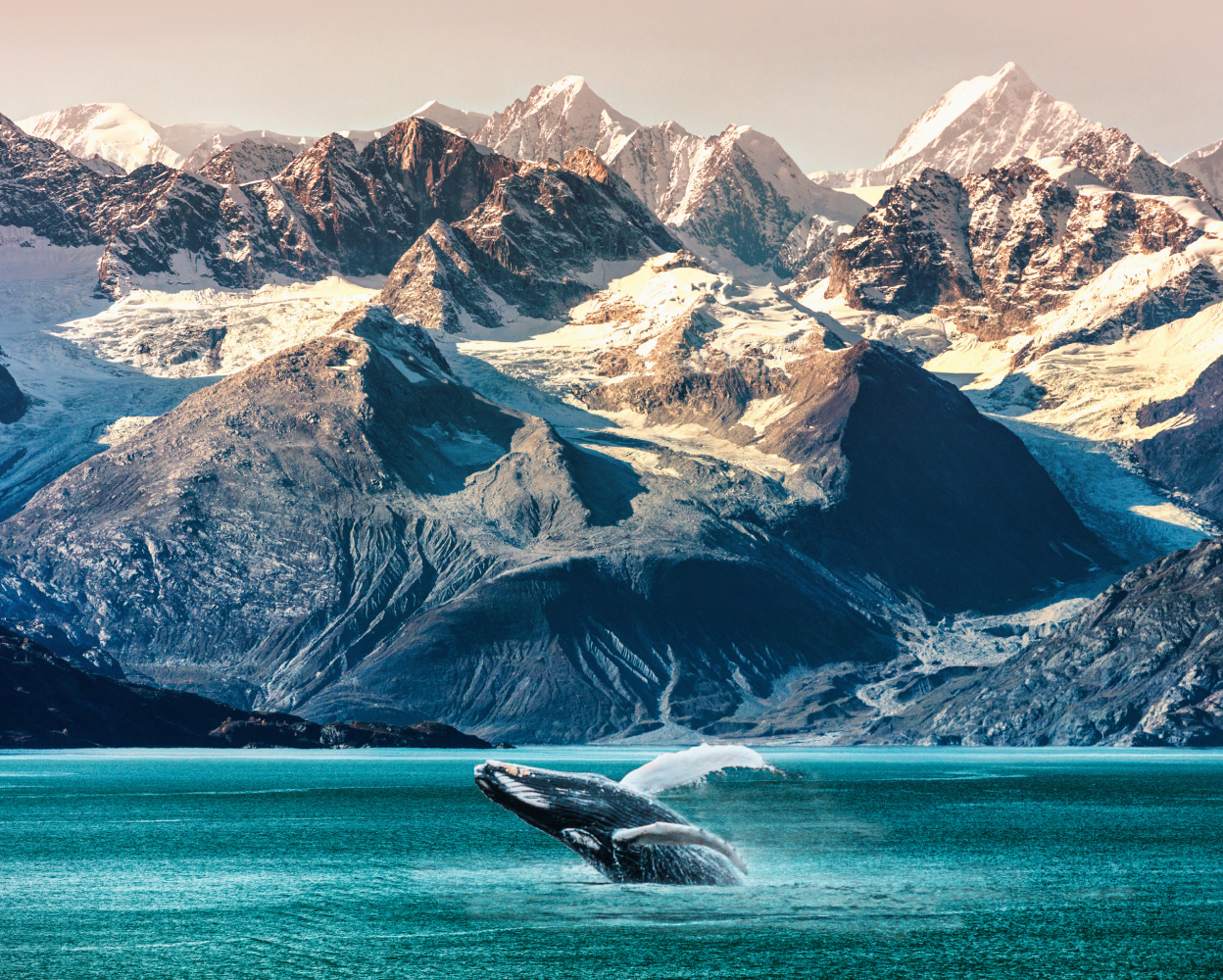 Alaska — A Passage Through Glacial Waters